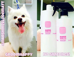 Marsh Mello Plant based Pet Shampoo